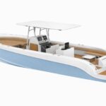 cruising boat (1)